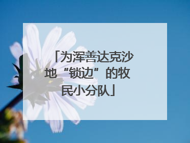 为浑善达克沙地“锁边”的牧民小分队